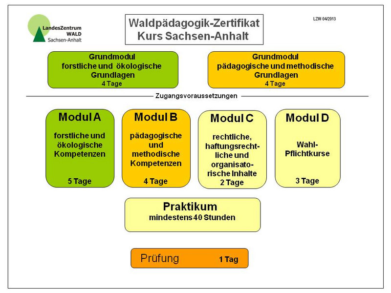 Grafische Darstellung der Lehrgangsmodule zum Zertifikat Waldpädagogik Lehrgangs